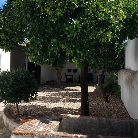 Casa Do Tio Ze-3