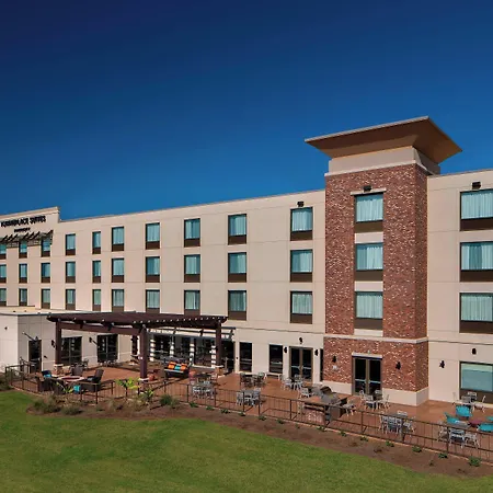 Towneplace Suites By Marriott Foley At Owa-3