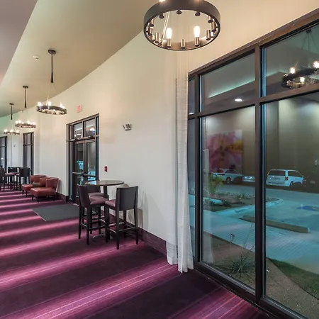 Holiday Inn San Marcos Convention Center By Ihg-3