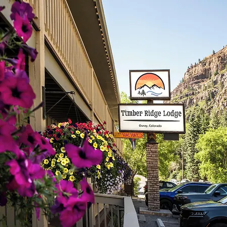 Timber Ridge Lodge Ouray-3