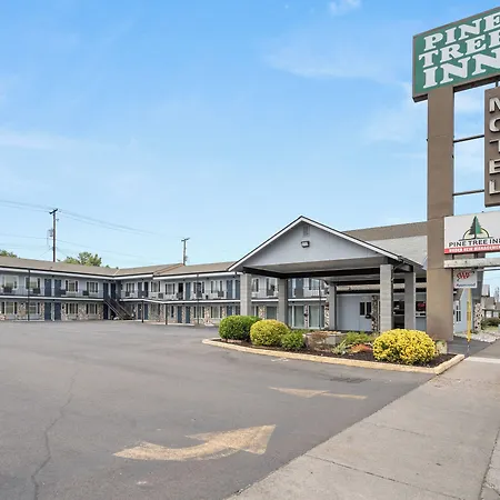 Pine Tree Inn-3
