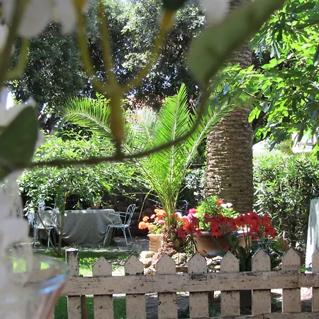 Hotel Ausonia-2