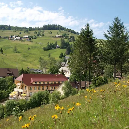 Grüner Baum Naturparkhotel&Schwarzwald-Restaurant-3