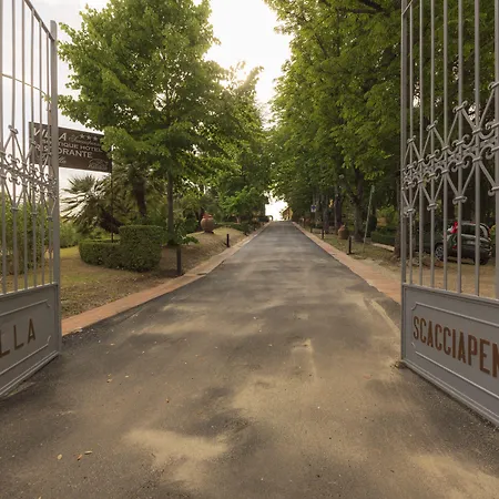 Villa Scacciapensieri Boutique Hotel-2