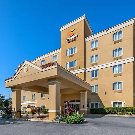 Comfort Suites Ocala North-3