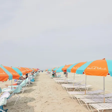 Beach Shack-2