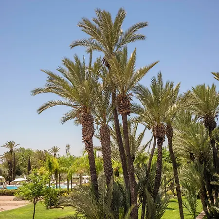 Barcelo Palmeraie Oasis Resort (Adults Only)-2