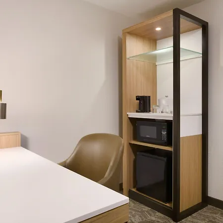 Springhill Suites By Marriott Newnan-2