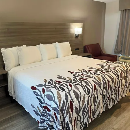 Red Roof Inn Orangeburg-2