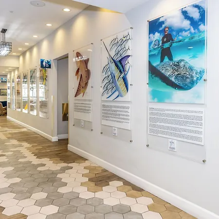 Guy Harvey Resort On Saint Augustine Beach-3