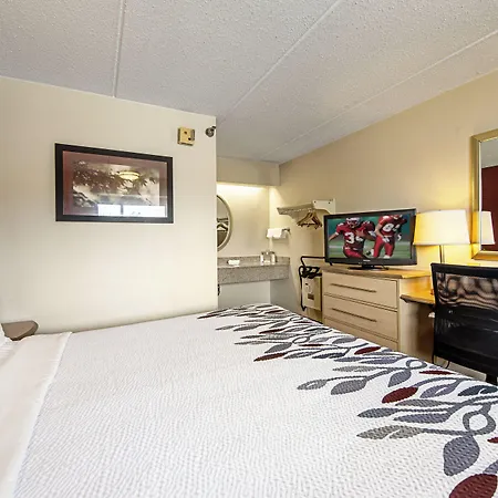 Red Roof Inn Florence - Civic Center-3