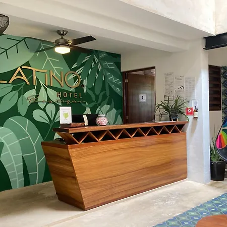 Collection O Latino Boutique Tulum-2