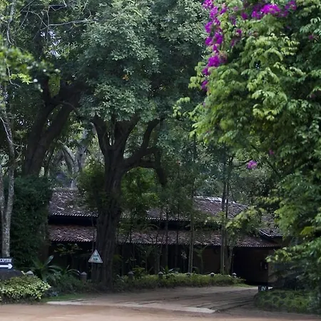 Hotel Sigiriya-3