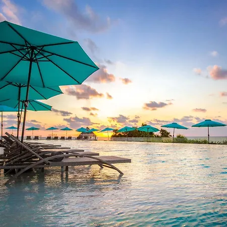 Hyatt Vivid Cancun (Adults Only)-2