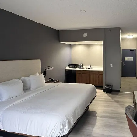 Comfort Inn Jackson North - Ridgeland-3
