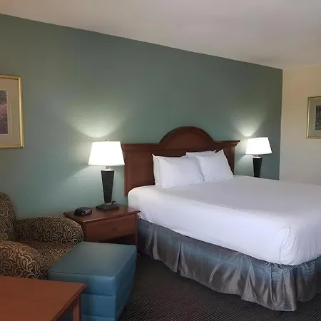 Baymont By Wyndham Sarasota-2