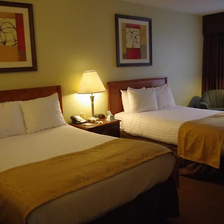 Best Western Sovereign Hotel - Albany-2