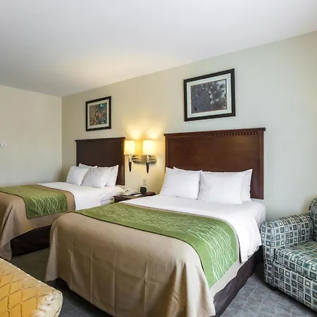 Quality Inn Donaldsonville - Gonzales-3