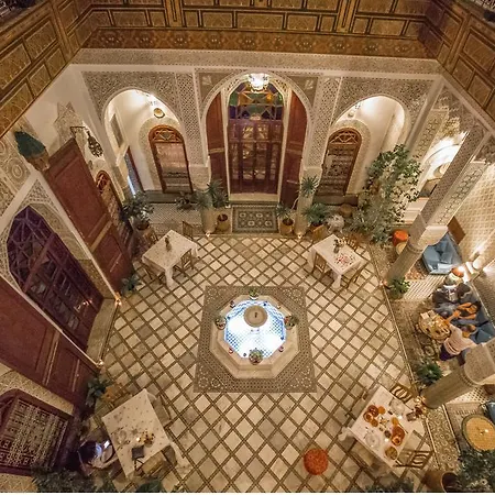 Riad Sara-2