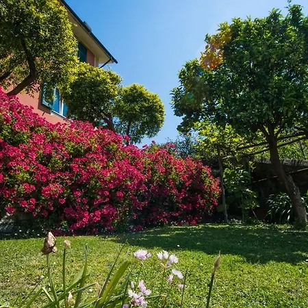Le Clementine B&B-2