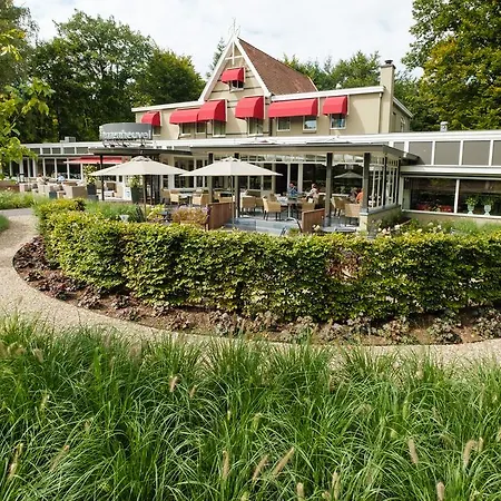 Dennenheuvel-2