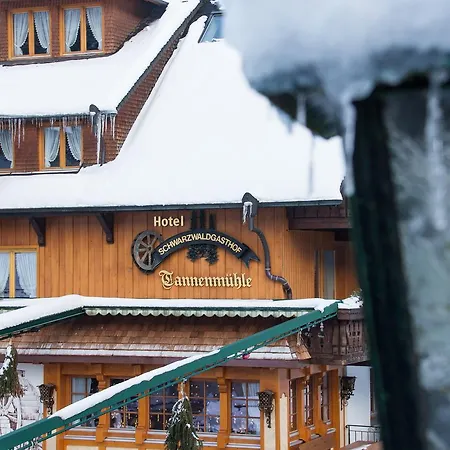 Hotel Tannenmühle-3