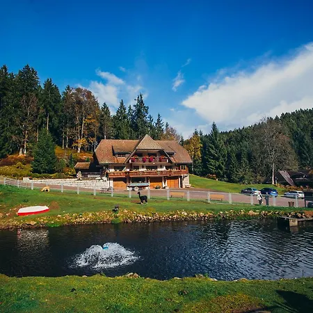 Hotel Tannenmühle-2