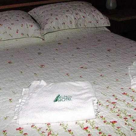 Alpes Hotel-2