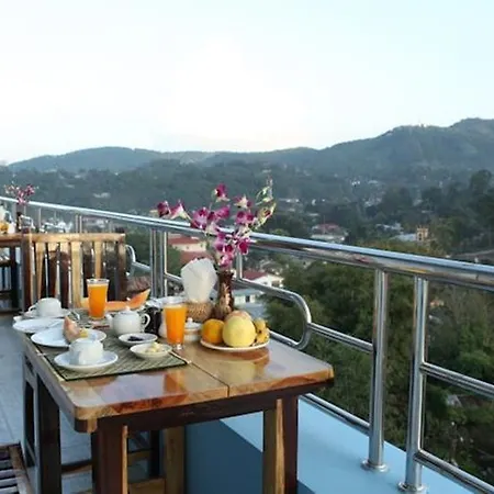 Pine Breeze Hotel-2