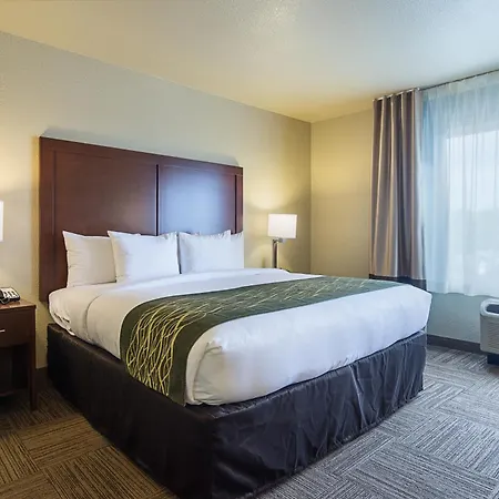 Comfort Inn Bentonville - Crystal Bridges-2