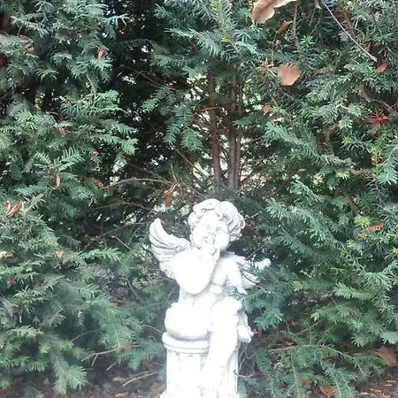 La Carline-2