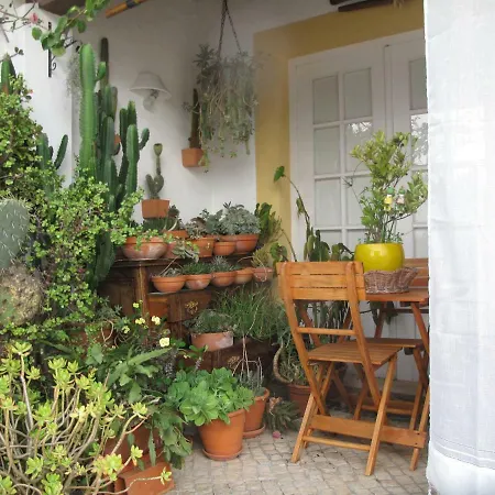 Casa Dos Cactos-2