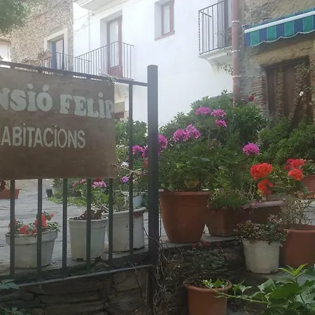 Fonda Felip-2