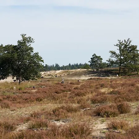 De Stal-2
