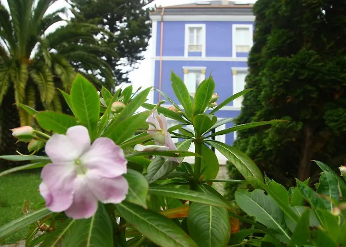 Hotel Gastronómico Araucaria