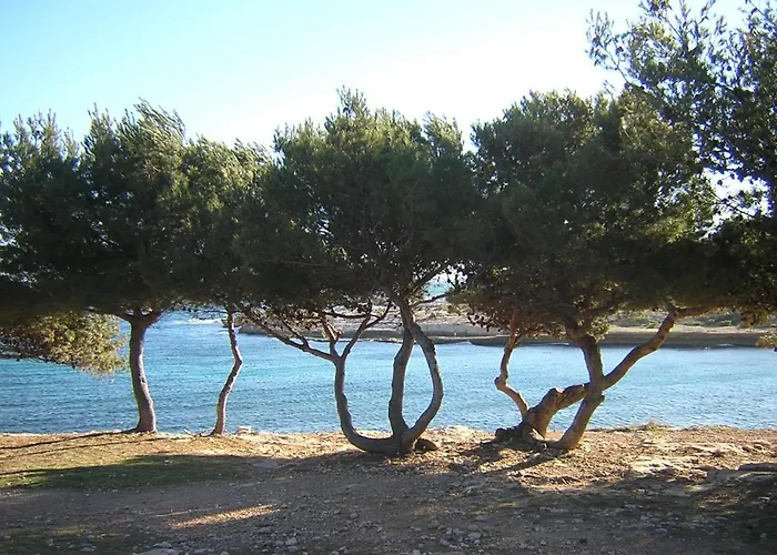 Appartements des Joncas Martigues