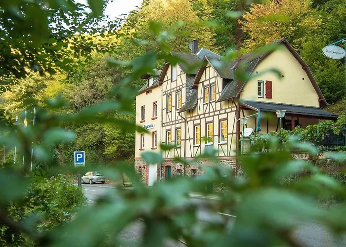 Boutique-Hotel Jungenwald