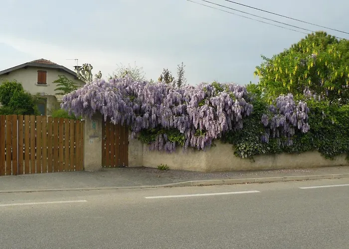 Au thé à la menthe