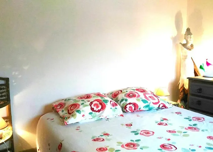Bed and Breakfast Autan des Couleurs à Albi