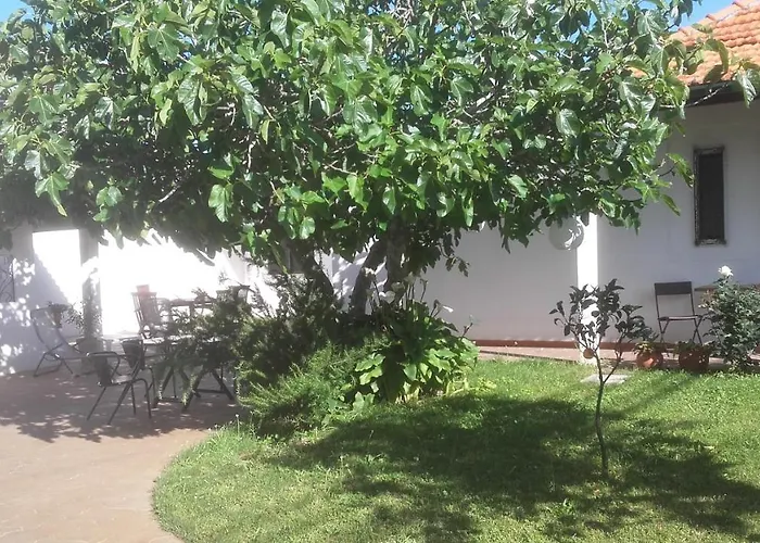 Casa Dos Pingos De Mel Acomodação com café da manhã Aveiro