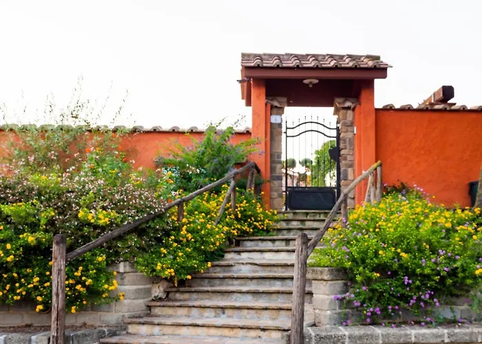 Bed and Breakfast Le Rose Nettuno