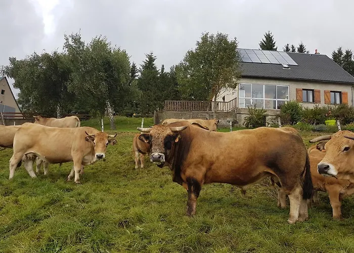 Bed and breakfast Horizon Aubrac Laguiole