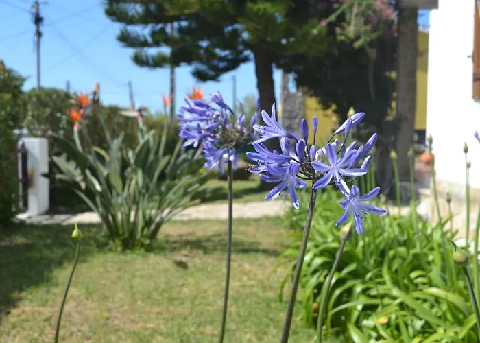 Meraki Guesthouse Ericeira