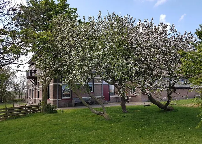 Hunsingo Texel