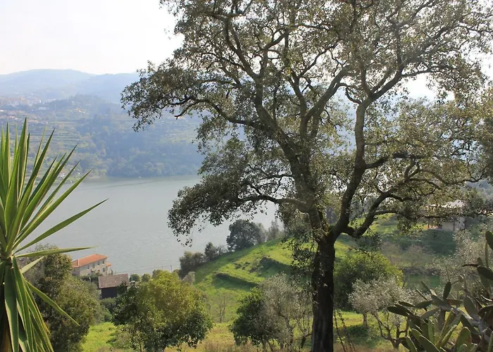 Quinta Das Quintas & Spa Baião