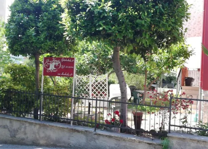 B&B Al Vecchio Olmo Sirolo