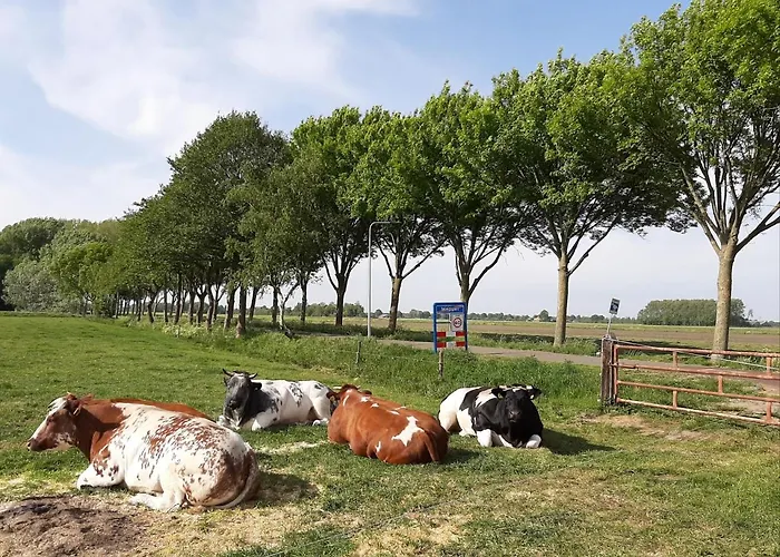 Mahil-Laya Bed and Breakfast Meppel