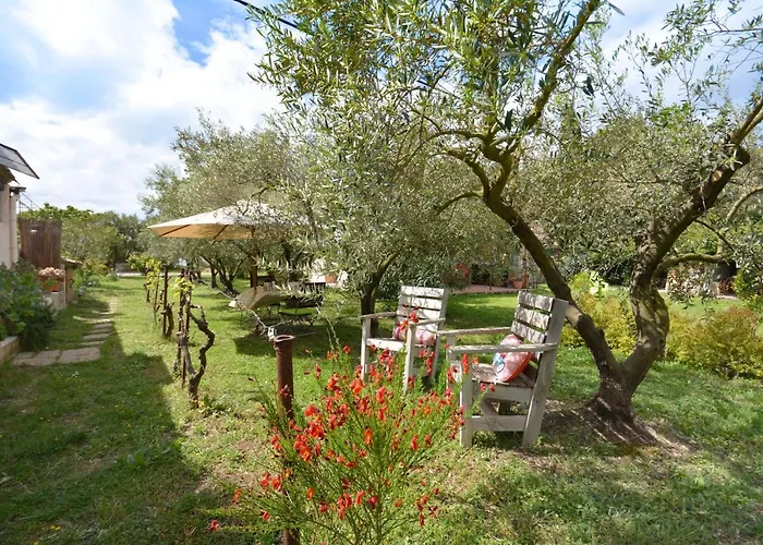 Bed and Breakfast le cabanon de l'olivette à Istres