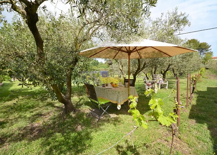 Bed and Breakfast le cabanon de l'olivette à Istres