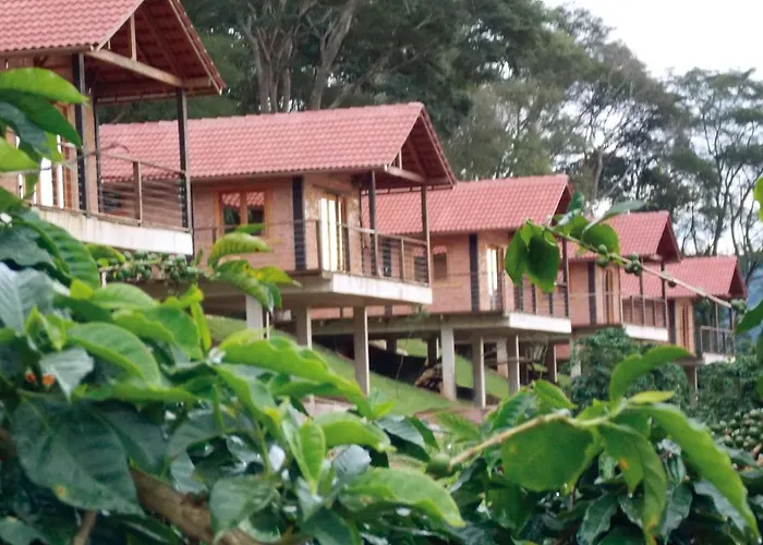 Pousada Cafe Da Mata Caparaó Velho